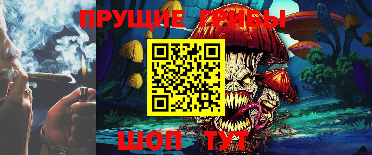 купить наркотики цена  Псилоцибиновые грибы MAGIC MUSHROOMS  Вход с VPN  Выкса 