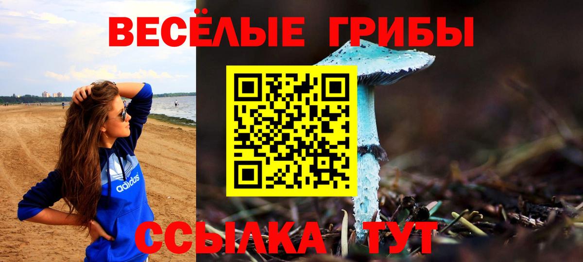 Псилоцибиновые грибы Psilocybine cubensis Выкса