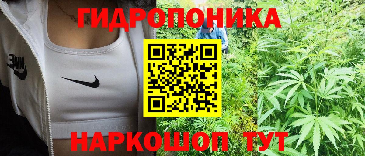 Выкса  Каннабис гибрид  МАРИХУАНА AK-47  Вход с VPN  Каннабис OG Kush  Бошки Шишки планчик 